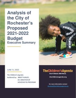 Analysis of the City of Rochester's Proposed 2021-2022 Budget