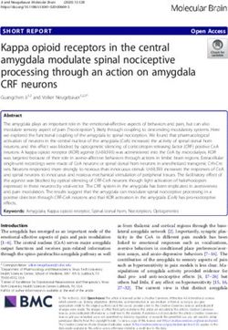 Kappa opioid receptors in the central amygdala modulate spinal nociceptive processing through an action on amygdala CRF neurons