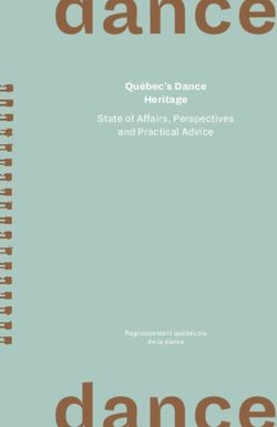 Dance Qu&eacute;bec's Dance Heritage - State of Affairs, Perspectives and Practical Advice