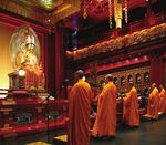 A cultic revival without the cults? - Religion Watch
