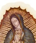 Family Mission Pilgrimage - JUNE 11 - 14, 2021 OUR LADY OF GUADALUPE - Corporate Travel Service