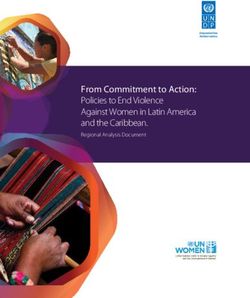 From Commitment to Action: Policies to End Violence Against Women in Latin America and the Caribbean - Regional Analysis Document
