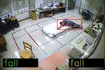SSHFD: Single Shot Human Fall Detection with Occluded Joints Resilience - Ecai 2020