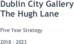 Dublin City Gallery The Hugh Lane - Five Year Strategy 2018 2023 - Dublin City Gallery The Hugh ...