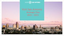 2021 2023 STRATEGIC PLAN - VISIT SAN ANTONIO - SEARCHWIDE GLOBAL