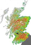 Conservation of the wildcat (Felis silvestris) in Scotland: Review of the conservation status and assessment of conservation activities - Urs ...