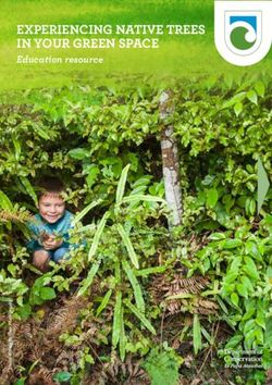 EXPERIENCING NATIVE TREES IN YOUR GREEN SPACE - Education resource