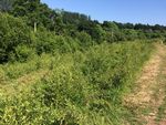 Ballybrack Valley Pedestrian and Cycle Route, Phase 4 - Preliminary Design Report Cork County Council - Cork County ...