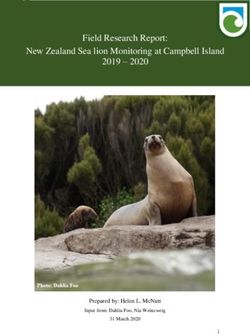 FIELD RESEARCH REPORT: NEW ZEALAND SEA LION MONITORING AT CAMPBELL ISLAND 2019 2020 - PREPARED BY: HELEN L. MCNUTT