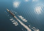 Growth comes from nurturing successful partnerships - Universal Partners