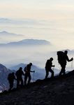 Growth comes from nurturing successful partnerships - Universal Partners