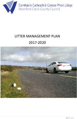 LITTER MANAGEMENT PLAN 2017-2020 - Waterford City & County ...