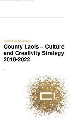 County Laois - Culture and Creativity Strategy 2018-2022 - Creative Ireland Programme