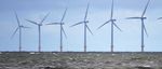 Your Partner for Holistic Environmental Solutions - NIRAS