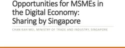 Opportunities for MSMEs in the Digital Economy: Sharing by Singapore - CHAN KAH MEI, MINISTRY OF TRADE AND INDUSTRY, SINGAPORE - UNCTAD