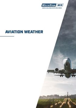 AVIATION WEATHER - MicroStep-MIS