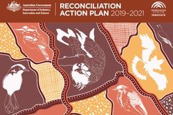 RECONCILIATION ACTION PLAN 2019-2021 - Department of ...