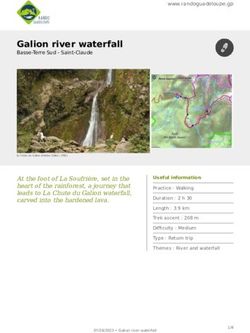 Galion river waterfall - Basse-Terre Sud - Saint-Claude