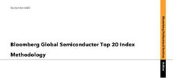 Bloomberg Global Semiconductor Top 20 Index Methodology
