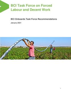 BCI Task Force on Forced Labour and Decent Work - BCI Onboards Task Force Recommendations - Better ...