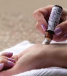 Elevate the everyday - WHOLESALE CATALOG - Fine Lines Gift Sales, LLC