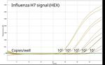 Love birds? Ensure early and accurate diagnosis of Avian Influenza A Virus infection - INDICAL Bioscience