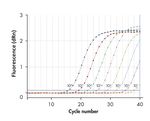 Love birds? Ensure early and accurate diagnosis of Avian Influenza A Virus infection - INDICAL Bioscience