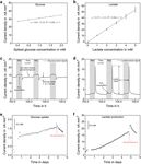 Lab on a Chip - RSC Publishing