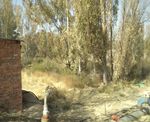 SCOPING REPORT PROPOSED TAAIBOSCHFONTEIN PIVOT EXPANSION EIA - Environmental Impact Management Services