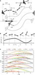 Collective motion - arXiv.org