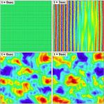 Collective motion - arXiv.org