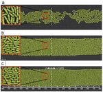 Collective motion - arXiv.org