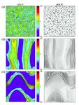 Collective motion - arXiv.org