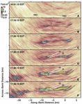 Collective motion - arXiv.org