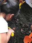 EVERYONE HAS A PLACE TO THRIVE - Positive Perspectives on Nature Explore Outdoor Classrooms in the Los Angeles Unified School District - Child ...