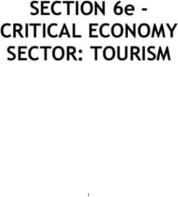 CRITICAL ECONOMY SECTOR: TOURISM - SECTION 6e - ICBAN