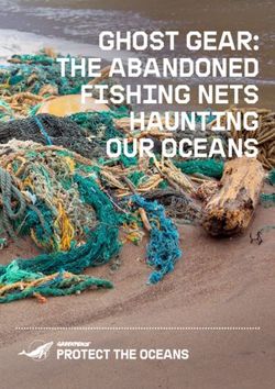 GHOST GEAR: THE ABANDONED FISHING NETS HAUNTING OUR OCEANS - Greenpeace
