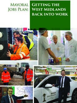 Getting the West Midlands back into work - Mayoral Jobs Plan