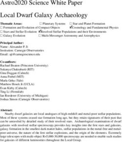 ASTRO2020 SCIENCE WHITE PAPER LOCAL DWARF GALAXY ARCHAEOLOGY