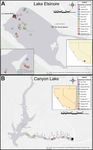 CYANOTOXIN AND CYANOBACTERIA MONITORING IN LAKE ELSINORE AND CANYON LAKE 2015-2017