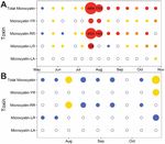 CYANOTOXIN AND CYANOBACTERIA MONITORING IN LAKE ELSINORE AND CANYON LAKE 2015-2017