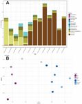 CYANOTOXIN AND CYANOBACTERIA MONITORING IN LAKE ELSINORE AND CANYON LAKE 2015-2017