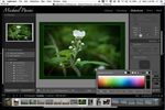Digital Imaging and Image Editing