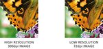 Digital Imaging and Image Editing