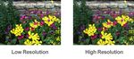 Digital Imaging and Image Editing