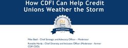 How CDFI Can Help Credit Unions Weather the Storm - Mike Beall - Chief Strategic and Advocacy Officer - Moderator Ronaldo Hardy - Chief Diversity ...