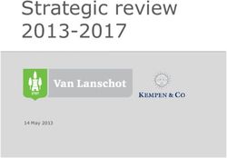 Strategic review 2013-2017 - 14 May 2013 - Van Lanschot Kempen