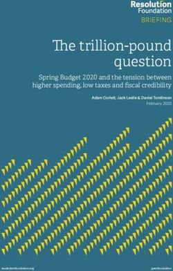The trillion-pound question - Spring Budget 2020 and the tension between higher spending, low taxes and fiscal credibility - Resolution Foundation