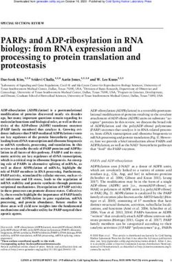 PARPs and ADP-ribosylation in RNA biology: from RNA expression and processing to protein translation and proteostasis - Genes ...