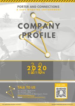 COMPANY PROFILE 2 0 - PORTER AND CONNECTIONS